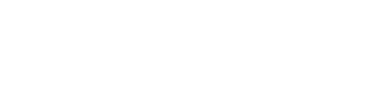 The Ark